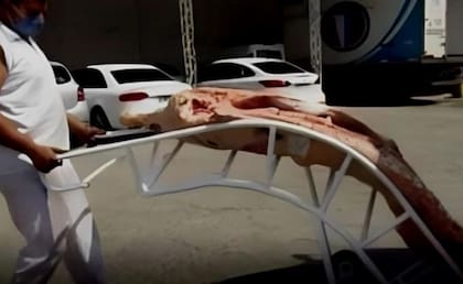 Uno de los carritos para el traslado de la media res. Camya