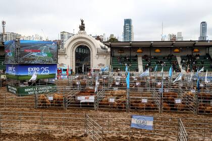 Uno de los concursos ganaderos en la pista central