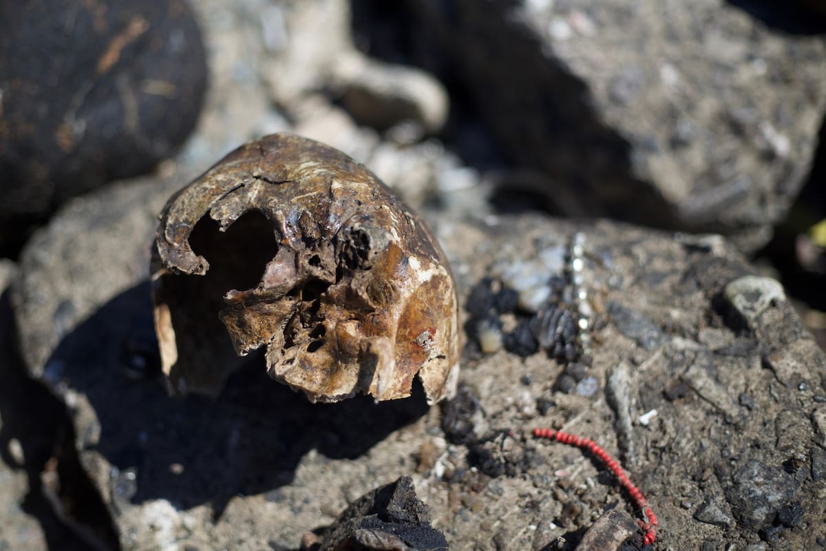 Uno de los cráneos hallados en Quilmes