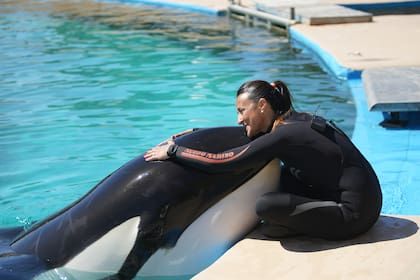 Uno de los cuidadores de Mundo Marino encontró a Kshamenk inmóvil en su acuario