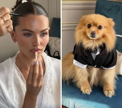 Uno de los detalles más comentados de la boda fue la presencia del perro de la pareja, vestido con un pequeño esmoquin negro