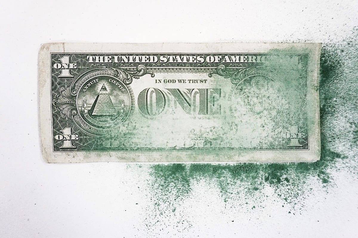 Uno de los dólares lijados en la obra de Agustina Woodgate
