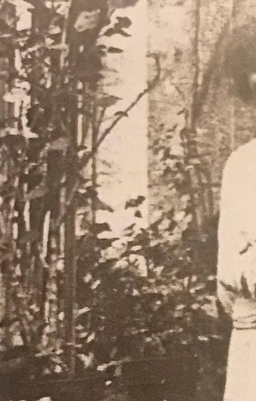 Uno de los dos retratos de Antoinette Chanel, hermana menor de Coco Chanel, que existen. Fue tomado en Biarritz, en 1915