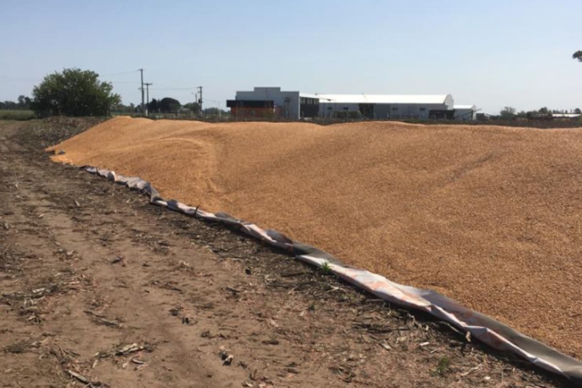 Uno de los dos silobolsas con maíz atacados en el partido bonaerense de Lincoln