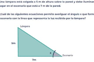 Estos son los ejercicios de matemática que no pudo resolver la mayoría de los alumnos