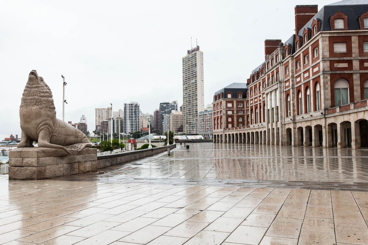 Uno de los emblemáticos lobos marinos frente al hotel Provincial de Mar del Plata.
