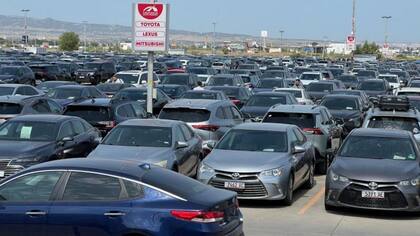 Uno de los estacionamientos más grandes le pertenece a Caucasus Auto Import (CAI)
