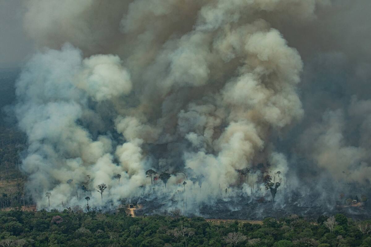 Uno de los focos de incendio, cerca de Caneiras do Jamari, en el estado de Rondonia
