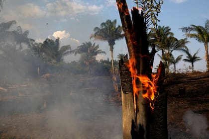 Uno de los focos de los incendios, en Iranduba, en el estado brasileño de Amazonas