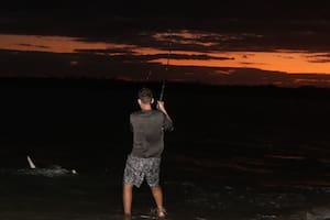 Uno de los hombres que capturó el animal fue AJ Rotondella, dueño de una compañía de pesca