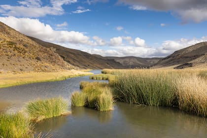 Uno de los humedales recuperados por Rewilding Argentina en la estación biológica El Unco