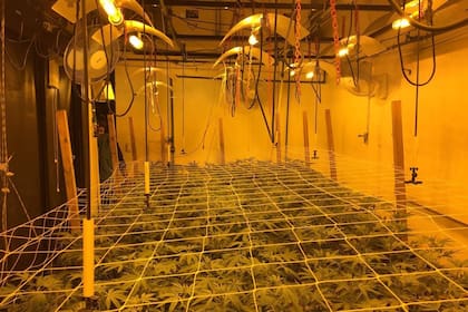 Uno de los invernaderos que tenía el Rey Flor