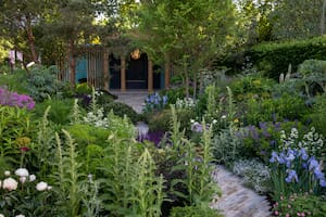 Uno de los jardines de Chelsea Flower Show 2022