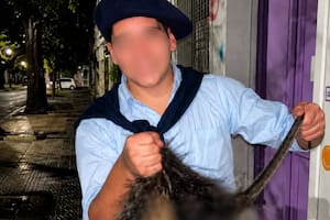 Los jóvenes huyeron de Bahía Blanca y evalúan declararlos personas no gratas
