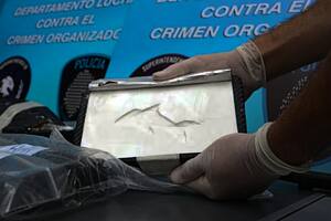 Uno de los ladrillos con la marca del Delfín