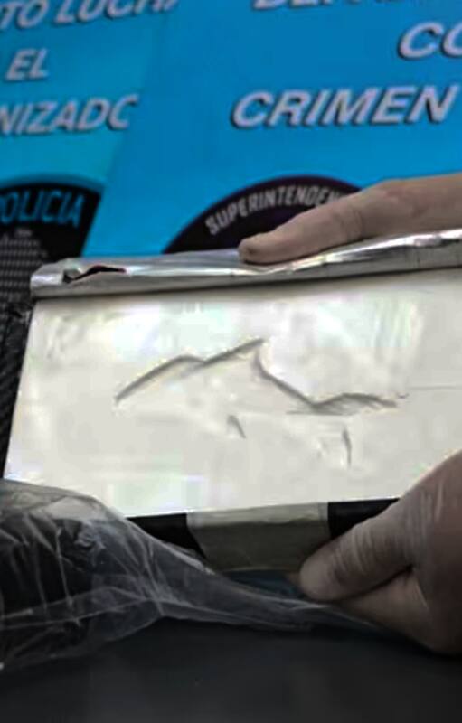 Uno de los ladrillos con la marca del Delfín