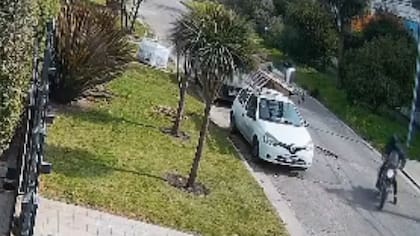 Uno de los ladrones atacó al gasista mientras el segundo delincuente hacía de campana