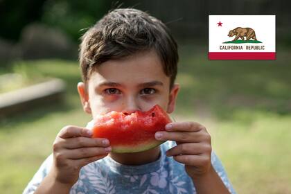 Uno de los mayores bancos de alimentos en EE.UU. anunció cuándo y dónde regalarán comida durante el mes de septiembre (Unsplash/Thomas Park)