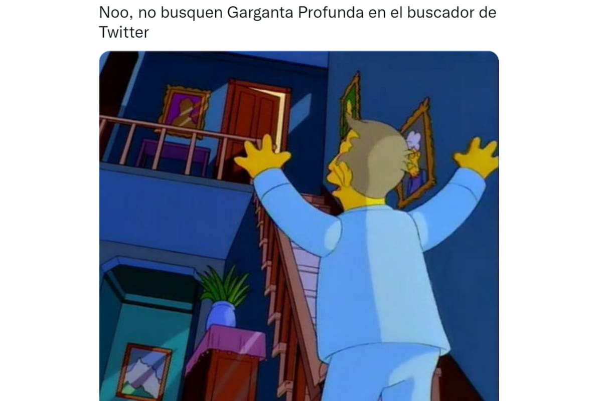 Uno de los memes por el furcio de Alberto Fernández
