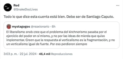 Uno de los mensajes que posteó el usuario de la cuenta que le atribuyen a Santiago Caputo