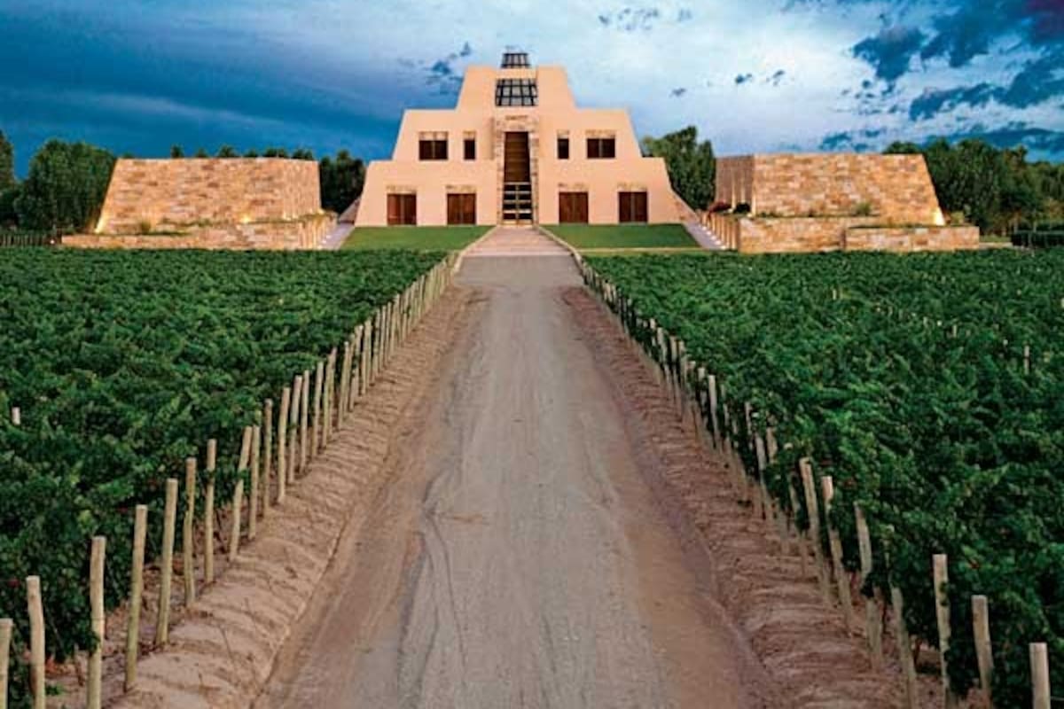 Uno de los paisajes emblemáticos de la "ruta del vino" mendocina