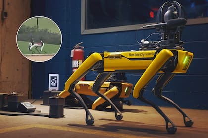 Uno de los perros robot fue visto patrullando los jardines de Mar-a-Lago en Palm Beach, Florida.