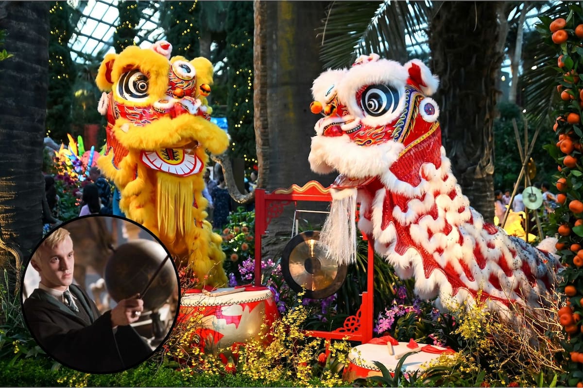 Uno de los personajes de Harry Potter fue adoptado para celebrar el Año Nuevo Chino por la relación de su nombre con esta cultura (Facebook/Harry Potter/Unsplash)