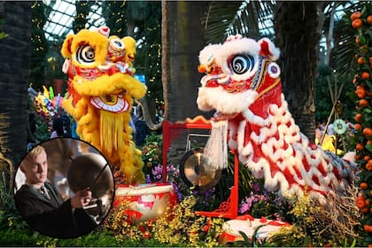 Uno de los personajes de Harry Potter fue adoptado para celebrar el Año Nuevo Chino por la relación de su nombre con esta cultura (Facebook/Harry Potter/Unsplash)