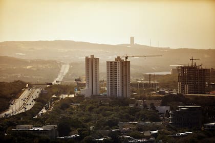 Uno de los proyectos emblemáticos es el de los bosques urbanos