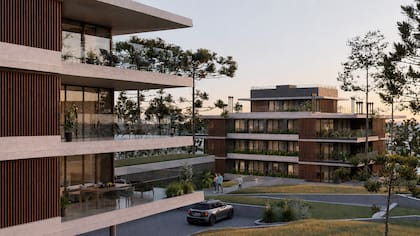 Uno de los proyectos que tienen en Punta del Este