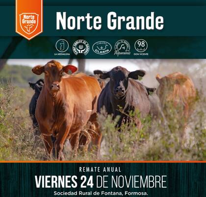Uno de los remates donde los pequeños y medianos productores se proveen de genética para mejorar sus rodeos