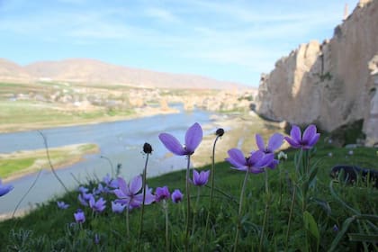 Uno de los ríos más célebres de la historia: el Tigris, en primavera.