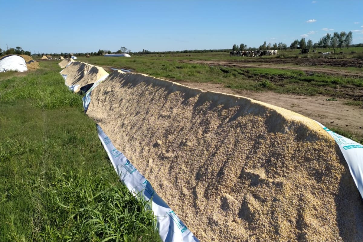 Uno de los silobolsas con reserva para las vacas vandalizados
