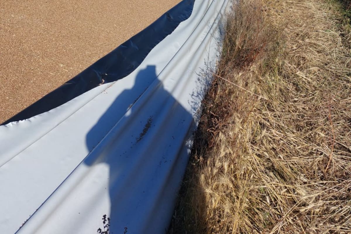 Uno de los silobolsas vandalizados al productor Néstor Hirigoity