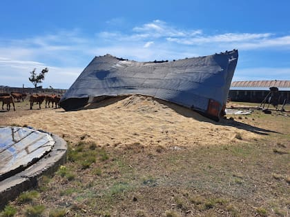 Uno de los silos que destruyó la tormenta en el campo del productor agropecuario Emilio Doiny