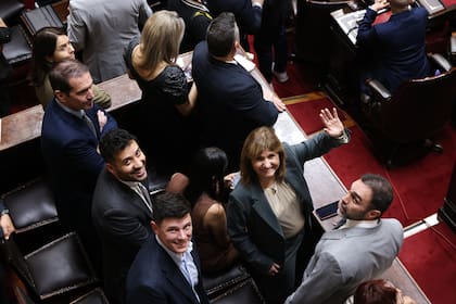Uno de los temas que el Gobierno buscará aprobar será la reforma del Código Penal, con Patricia Bullrich encabezando ese debate en el Congreso
