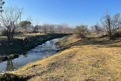Uno de los terrenos tiene agua