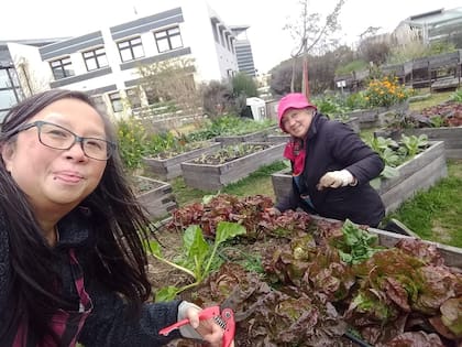 Uno de los trabajos que realiza con Huerta Urbana
