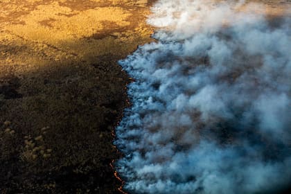 Uno de los últimos incendios que se registró en las islas del delta del Paraná