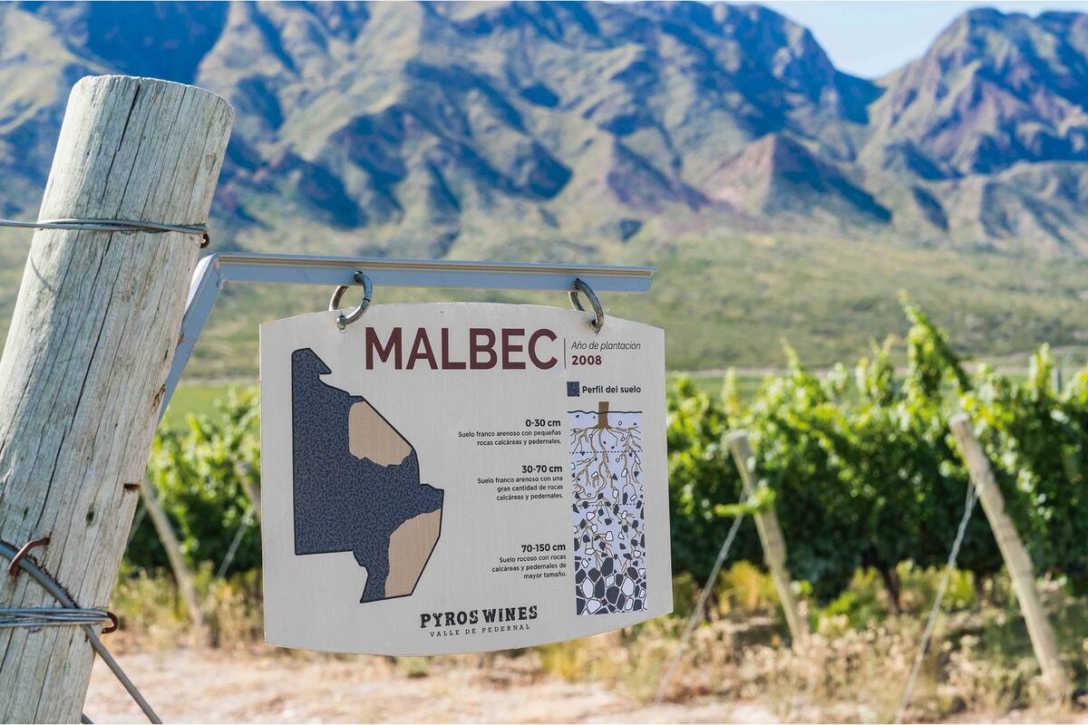 Uno de sus Malbec acaba de ser elegido mejor tinto del mundo; cuáles son las características que los hacen únicos