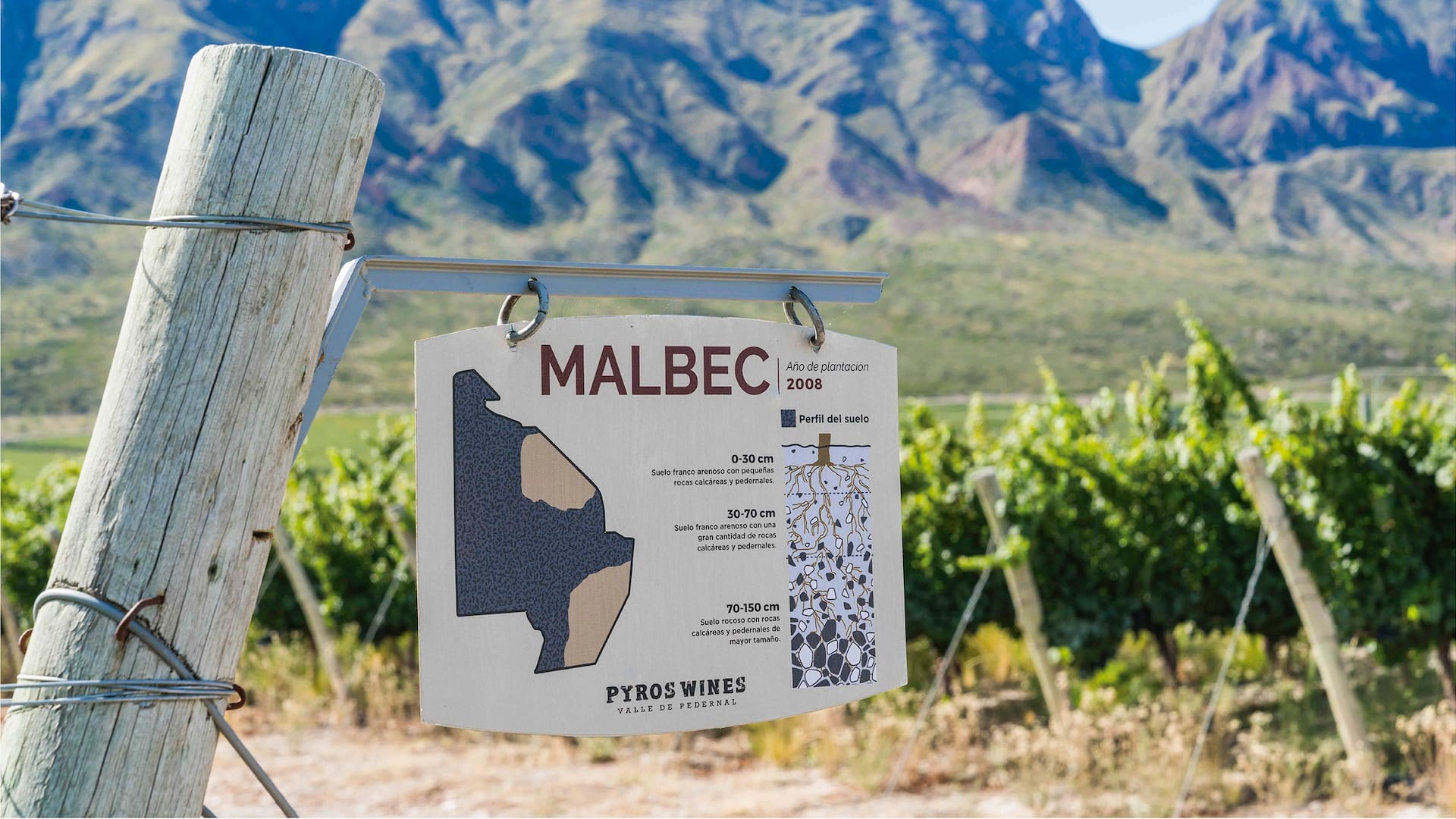 Un Malbec sanjuanino acaba de ser elegido entre los 10 mejores del mundo