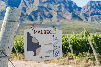 Uno de sus Malbec acaba de ser elegido mejor tinto del mundo; cuáles son las características que los hacen únicos