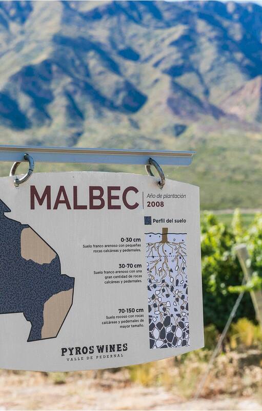 Uno de sus Malbec acaba de ser elegido mejor tinto del mundo; cuáles son las características que los hacen únicos