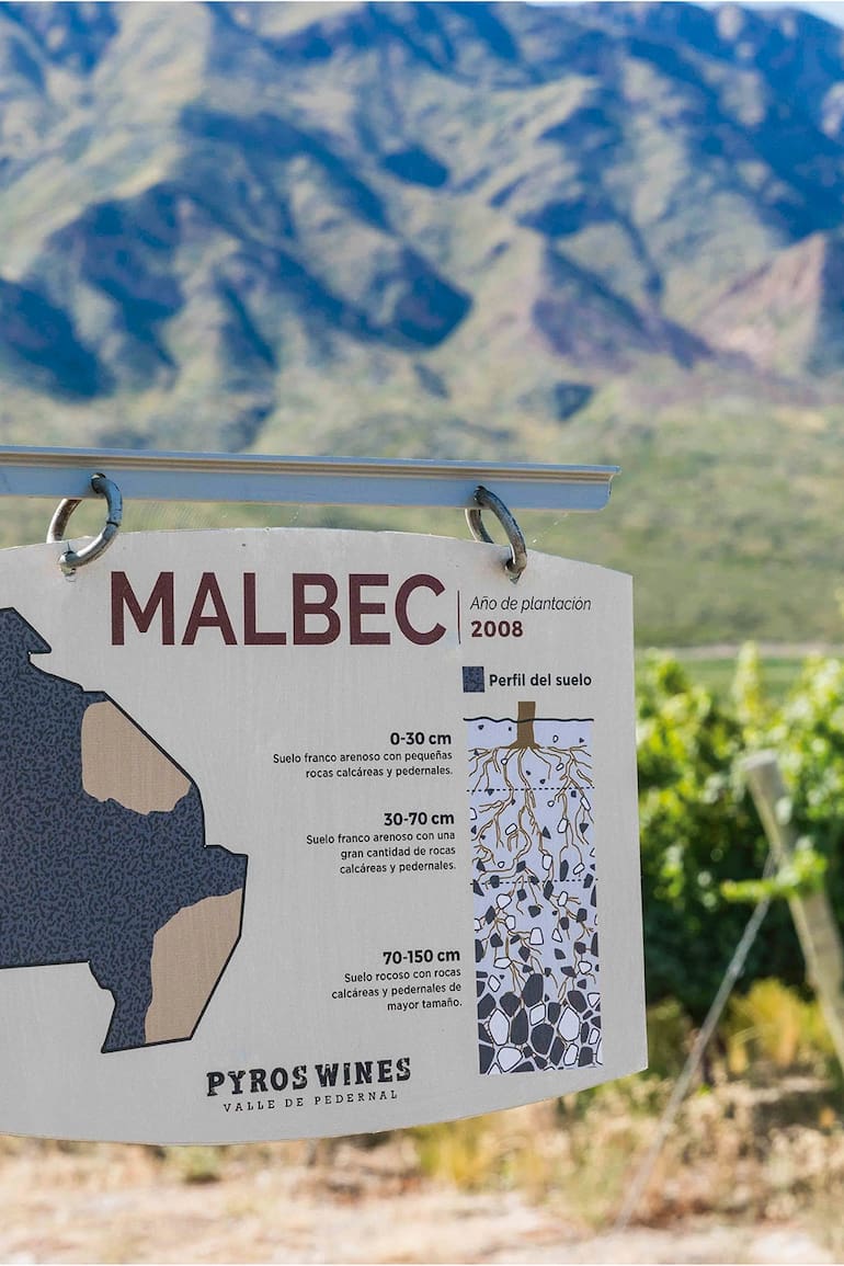 Un Malbec sanjuanino acaba de ser elegido entre los 10 mejores del mundo