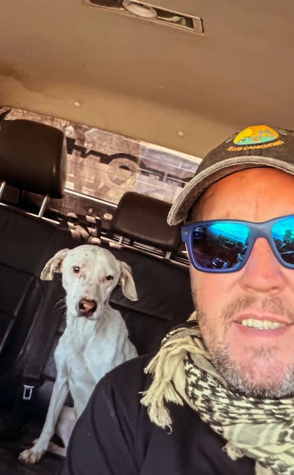 Uno de sus últimos rescates fue el de una perra que recibió el nombre de Martina (Foto: Instagram @refugioelmontecito)
