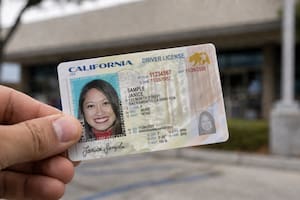 Confirmado por el DMV: el plazo oficial que puede terminar con la cancelación de 11.000 licencias