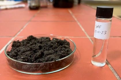 Unos científicos que lograron convertir heces humanas en combustible para aviones