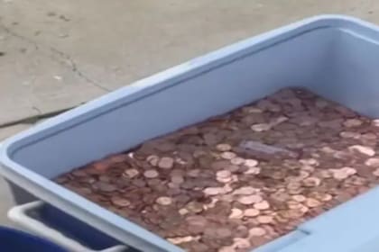 Unos días antes de cumplir 18 años, una joven recibió de su padre una contribución insólita: 80.000 monedas de un centavo que el hombre arrojó en el jardín de la casa como pago de la última cuota de manutención