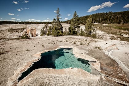 Upper Geyser Basin, el sitio donde se concentra la mayor cantidad de géiseres del parque.