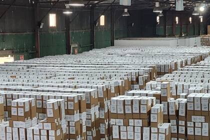 Urnas con votos en La Plata: comienza el recuente definitivo